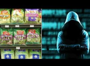 Big Ransomware Attack On Food Giant Dole Temporarily Shuttered US Production