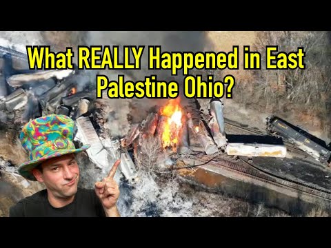 What REALLY Happened in East Palestine Ohio?