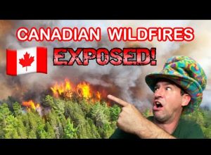 Canadian Wildfires – What is Really Happening?