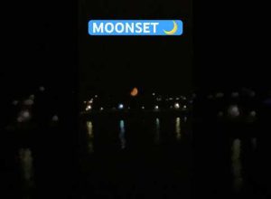 Have you ever seen the moon set? #moon #moonlight #moonset
