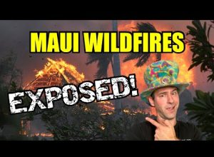 What Really Caused The Maui Wildfires?