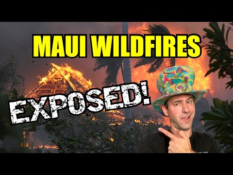 What Really Caused The Maui Wildfires?