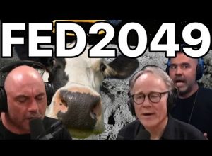 FED 2049 Uncut & After Show Michael Sartain Graham Handcock & Joe Rogan